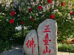 -五台山风景名胜区