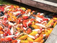 -番禺宾馆丽苑厅