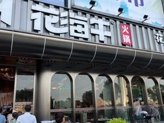 -花海牛火锅(泰合店)