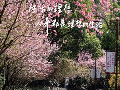 -杭州半山国家森林公园