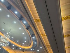 -圣爵菲斯大酒店(长沙世界之窗店)