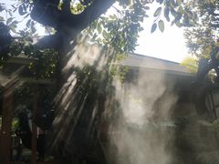 -Chom Cafe and Restaurant