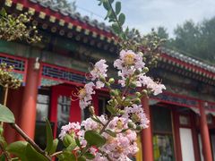 -宫事颐庭·老佛爷贵寿下午茶(颐和园店)