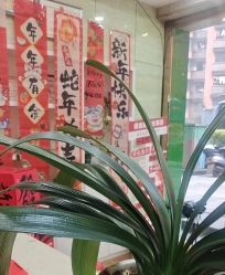 -苗医生专业祛痘·皮肤管理