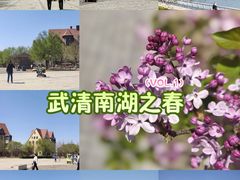 -武清南湖绿博园