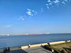 -大湾区中央湿地公园