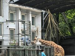 -太原动物园