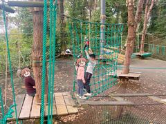 -芦仙山景区-飞越丛林探险乐园