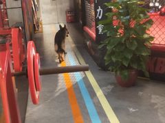 -KingBull私教健身&格斗订制(龙井商业中心店)