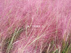 -中国天府农业博览园