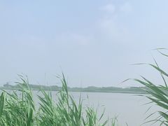 -西青郊野公园