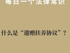 -上海领胜律师团队·法律咨询