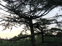 -御花园·粤菜·海鲜火锅(中山公园店)