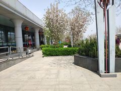 -藁城北服务区-停车场