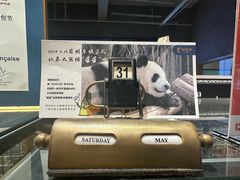 -熊叔熊婶面包房(团结湖店)