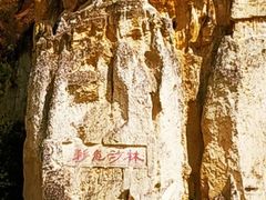 -彩色沙林风景区