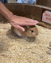 -Zoolung Zoolung动物主题公园(海信广场店)