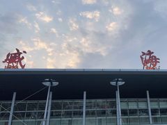 -威海大水泊国际机场