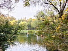 -上海共青森林公园