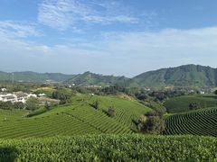 -帐篷客·溪龙茶谷度假酒店