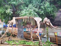 -中国第四纪冰川遗迹陈列馆