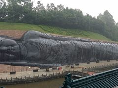 -三水森林公园