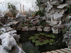 -美味之家·湖景农家乐(太湖东山店)