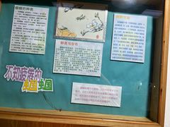 -上海大自然野生昆虫馆(东方明珠·爬宠昆虫探索中心)