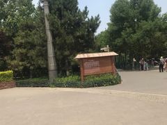 -大兴滨河森林公园