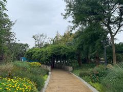 -府河摄影公园