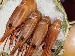 -银子铁板烧料理自助餐(人民广场店)