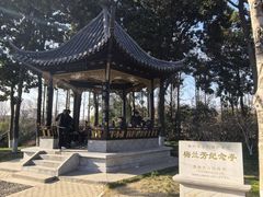-梅园