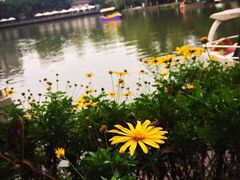 -北湖公园
