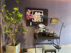 点击看大图 -花隐·美芙炫海菲秀皮肤管理中心