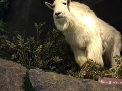 -陕西自然博物馆