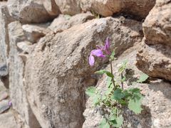 -天津盘山风景名胜区