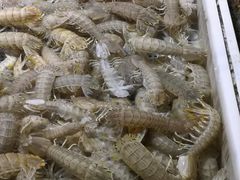 -映像威海·海鲜味道(市区店)