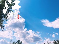-莫子山公园
