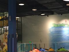 -蒙特利亲子乐园