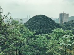 -黔灵山公园-南门售票处