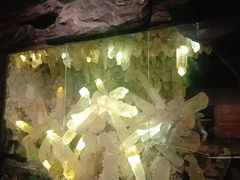 -湖南省地质博物馆