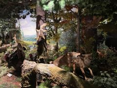 -陕西自然博物馆