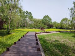 -北坞公园