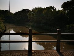 -上海海湾国家森林公园