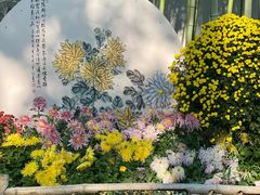 -上海醉白池公园