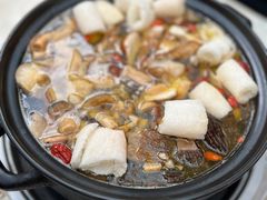 -蘑统田下·野生菌火锅