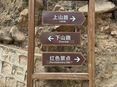 -大岭沟猕猴桃谷风景区