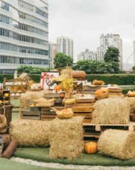 -天邑国际酒店·宴会厅