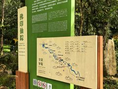 -莫里热带雨林景区