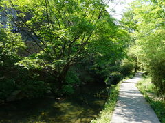-夏霖九天银瀑风景区